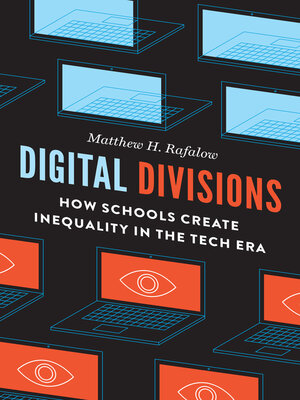cover image of Digital Divisions
